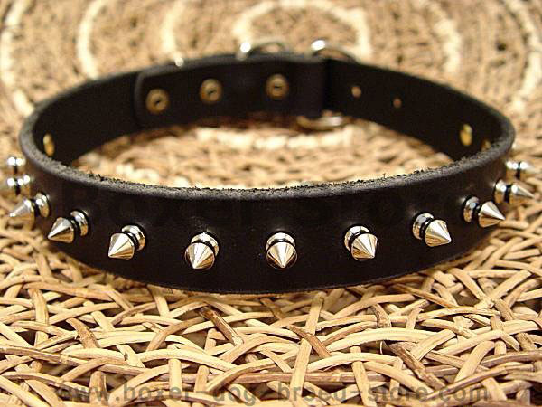 Leather Spiked Dog Collar for Boxer