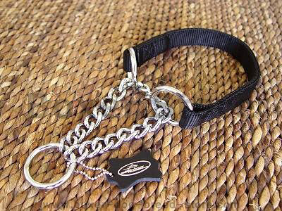 All Weather Nylon Martingale Dog Collar for Boxer dog