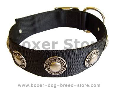 Nylon Dog  collar with silver conchos for Boxer dog