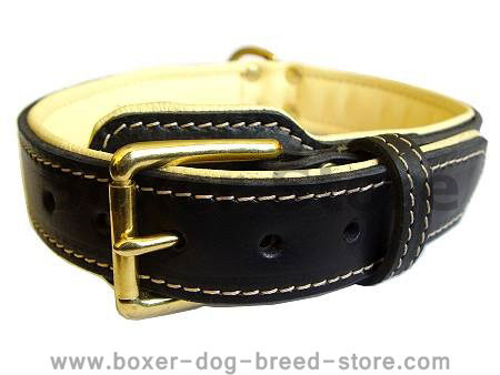Royal Nappa Padded Hand Made Leather Dog Collar for Boxer