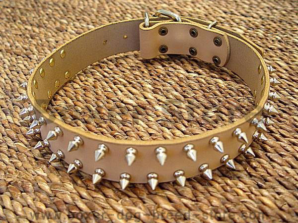 boxer leather spiked dog collar