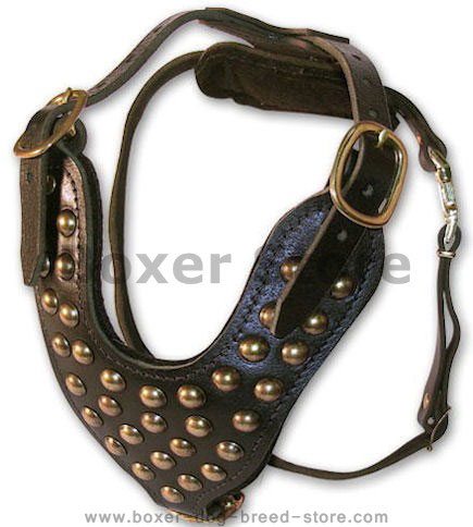 Stud Dog Harness for Boxer -2 ply leather HARNESS