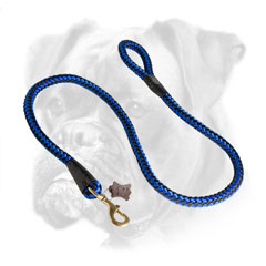 Fancy blue and black cord nylon Boxer leash for walking