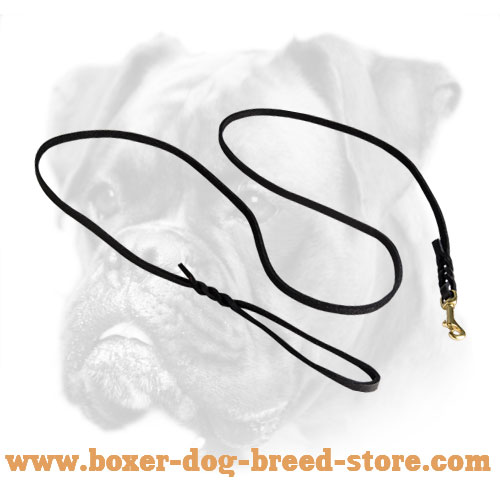 Boxer Leather Leash with Braids