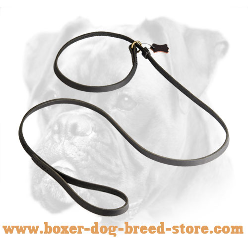 Leather leash/collar combination for Boxer