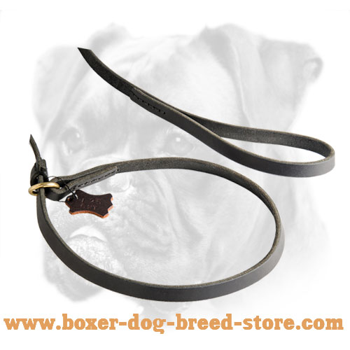 Boxer leash/collar combo with leather stopper