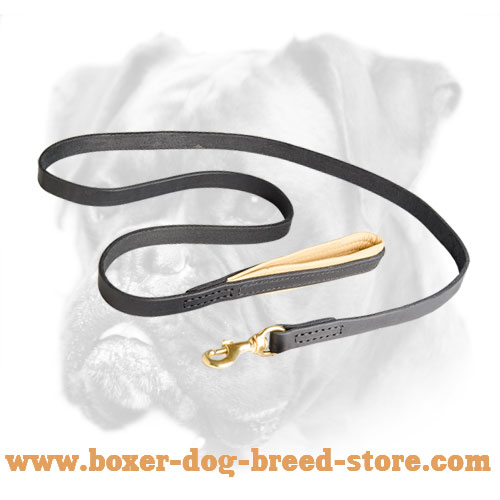 Leather Boxer leash with reliable brass snap hook