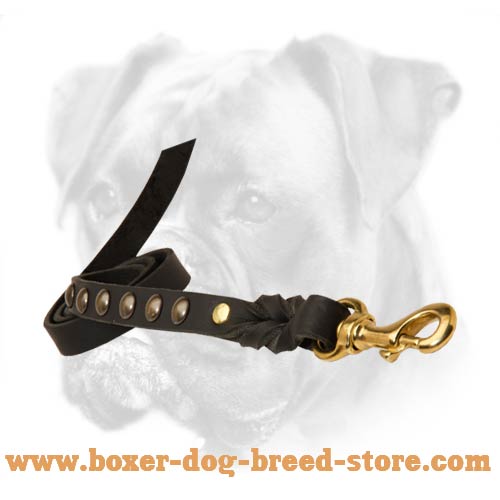 Secure control of your Boxer dog