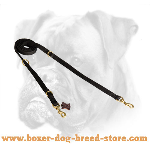 Nylon dog leash with sturdy fittings