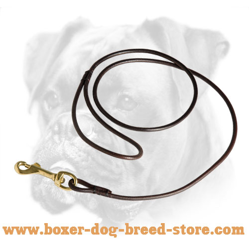 Boxer Leather Leash with Comfy Handle