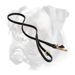 Boxer leash with brass snap hook