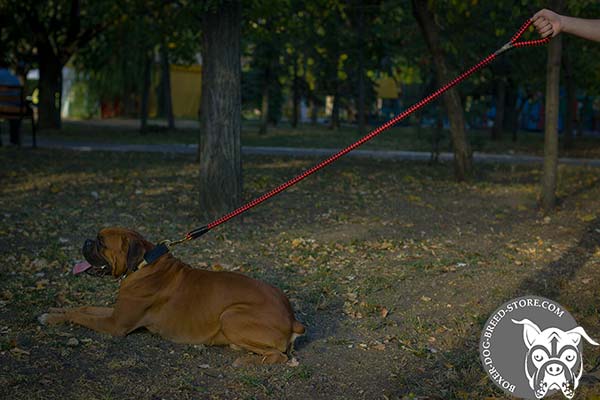 Boxer nylon leash of high quality with brass plated hardware for daily walks
