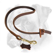 Leather Boxer leash for extra control