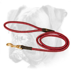 Extraordinary Boxer Leash in Red Color