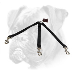 Nylon Boxer leash for walking three canines