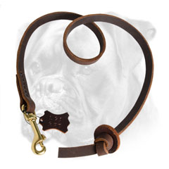 Pocket genuine leather leash for Boxer
