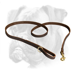 Reliable leather Boxer leash for different activities