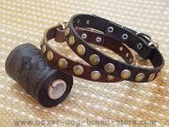 Leather special dog collar with circle Leather special dog collar with circle