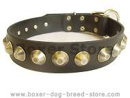 Gorgeous Wide Leather Dog Collar With Brass Pyramids