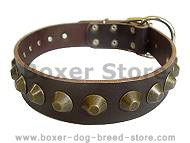 Gorgeous Wide Leather Dog Collar - Brown