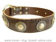 Leather Dog Collar with silver conchos Leather Dog Collar with silver conchos