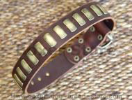 Gorgeous Wide Leather Dog Collar With Plates