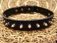 Leather Spiked Dog Collar