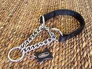 All Weather Nylon Martingale Dog Collar