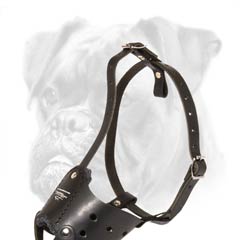 Excellent quality and pretty look Boxer muzzle