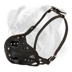 Boxer leather muzzle perfectly ventilated