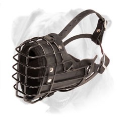Feature-rich leather and wire muzzle for Boxer
