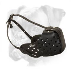 Strong leather Boxer muzzle with holes for superb air flow