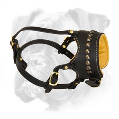 Extra protective leather Boxer muzzle with adjustable straps  