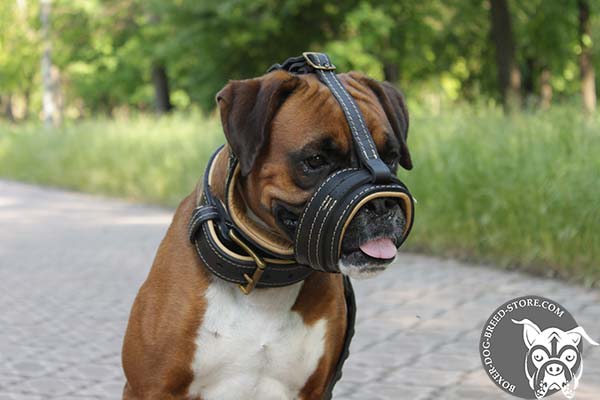 Boxer muzzle with Nappa padding will not rub