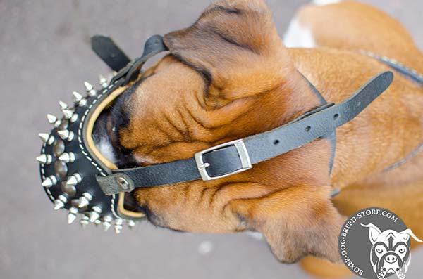 Boxer muzzle with adjustable straps