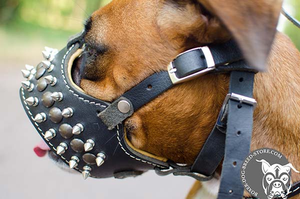 Leather Boxer muzzle with Nappa padding