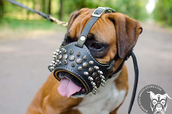 Leather Boxer muzzle of fashionable design