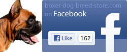FACEBOOK FACEBOOK