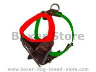 boxer saize harness