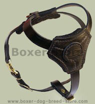 Small Leather Dog Harness for Boxer puppy
