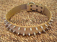 Leather Spiked Dog Collar