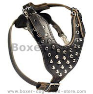 Boxer Studded Leather Dog Harness with Pyramids