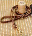 walking,tracking,training dog leash