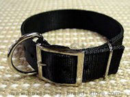 Boxer Nylon Dog Collar