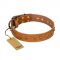 "Autumn Story" FDT Artisan Leather Boxer Collar with Old Bronze Look Studs
