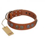"Luxurious Life" Premium Quality FDT Artisan Tan Leather Boxer Collar with Round Adornments