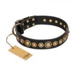 "Gold Mine" FDT Artisan Black Leather Boxer Collar with Amazing Bronze-Plated Round Studs