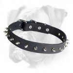 Elegant Leather Boxer Collar with Nickel Spikes