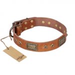 "Catchy Look" FDT Artisan Decorated Tan Leather Boxer Collar