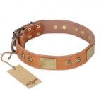 "The Middle Ages" FDT Artisan Handcrafted Tan Leather Boxer Collar
